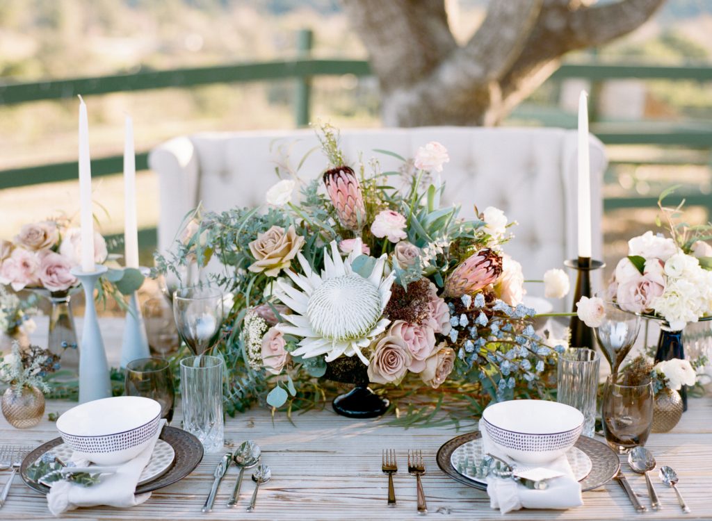 Diana Marie Photography