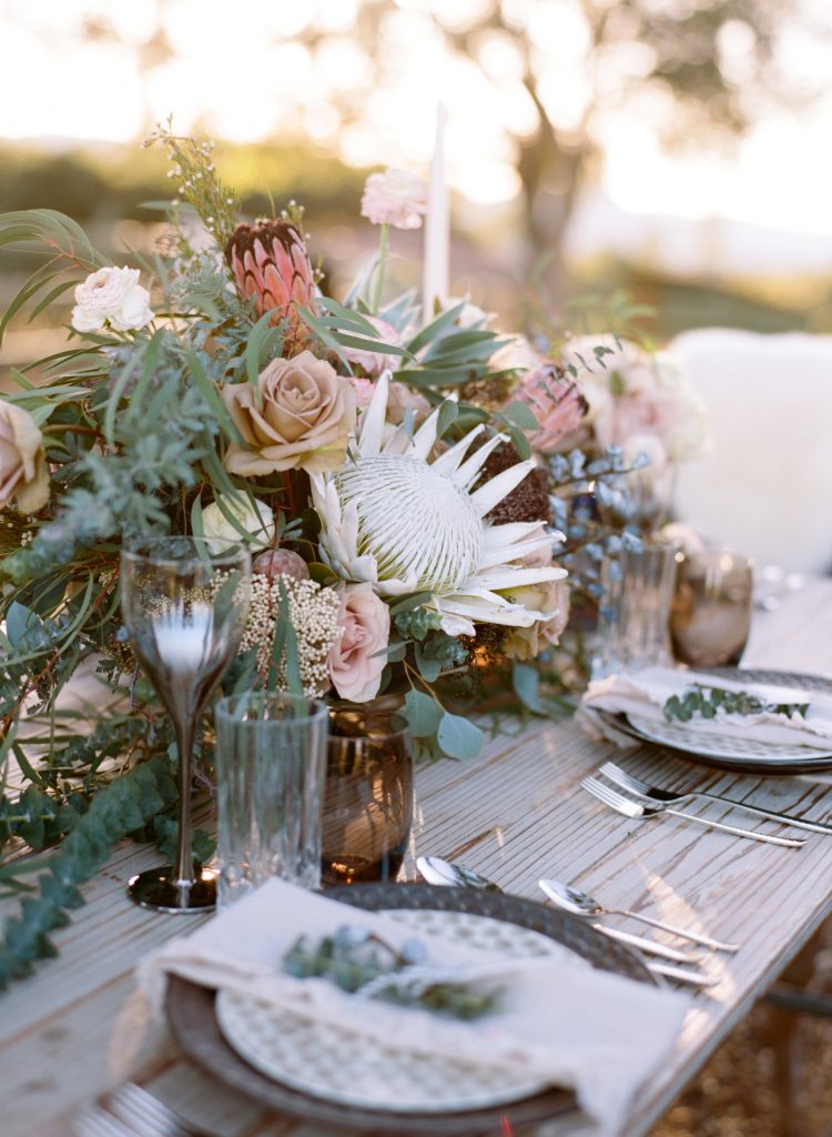 Diana Marie Photography