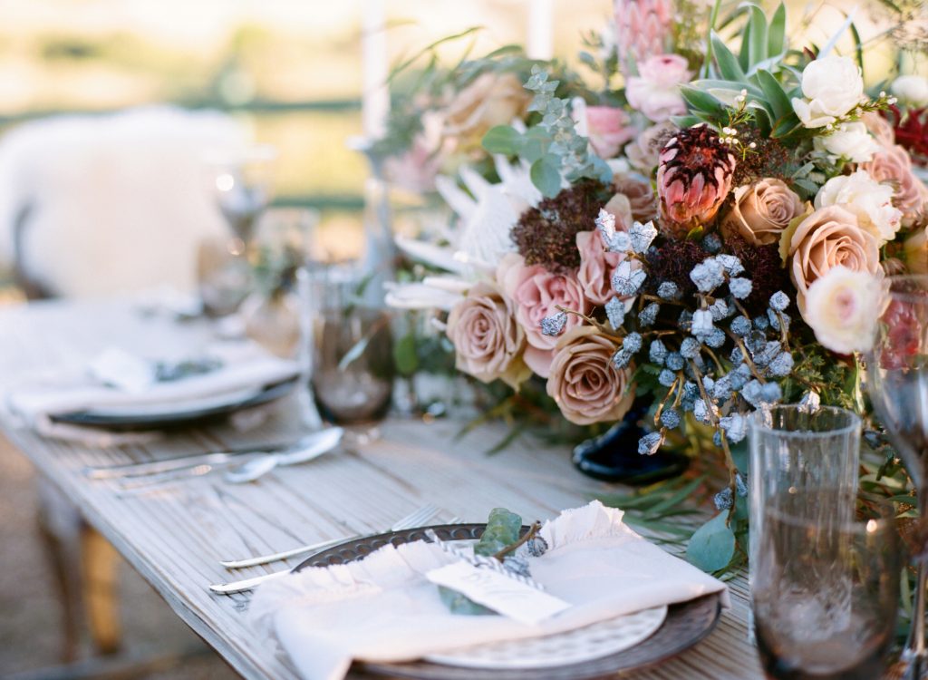 Diana Marie Photography